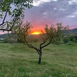 Regalate Paz Estallo